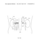 ENERGETIC MODULATION OF NERVES diagram and image