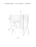 ENERGETIC MODULATION OF NERVES diagram and image