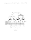 ENERGETIC MODULATION OF NERVES diagram and image