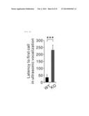 GENETICALLY ENGINEERED MOUSE MODEL FOR AUTISM SPECTRUM DISORDER HAVING     DELETION OF SHANK2 GENE AND USE THEREOF diagram and image