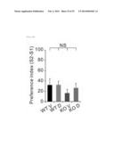 GENETICALLY ENGINEERED MOUSE MODEL FOR AUTISM SPECTRUM DISORDER HAVING     DELETION OF SHANK2 GENE AND USE THEREOF diagram and image