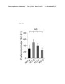 GENETICALLY ENGINEERED MOUSE MODEL FOR AUTISM SPECTRUM DISORDER HAVING     DELETION OF SHANK2 GENE AND USE THEREOF diagram and image