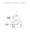 Genetically Modified Rat Models for Obesity and Diabetes diagram and image