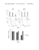 COMPOSITIONS AND METHODS FOR IDENTIFYING VIRULENCE FACTORS AND ANTI-FUNGAL     AGENTS diagram and image