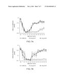 Animal Model of Central Neuropathic Pain and Methods of Making and Using     the Same diagram and image