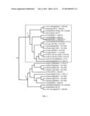 TRAIT IMPROVEMENT IN PLANTS EXPRESSING MYB-RELATED PROTEINS diagram and image