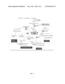 METABOLIC ENGINEERING OF PLANTS FOR INCREASED HOMOGENTISATE AND     TOCOCHROMANOL PRODUCTION diagram and image