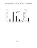 METABOLIC ENGINEERING OF PLANTS FOR INCREASED HOMOGENTISATE AND     TOCOCHROMANOL PRODUCTION diagram and image