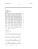 MAIZE GENES FOR CONTROLLING PLANT GROWTH AND ORGAN SIZE AND THEIR USE IN     IMPROVING CROP PLANTS diagram and image