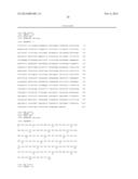 MAIZE GENES FOR CONTROLLING PLANT GROWTH AND ORGAN SIZE AND THEIR USE IN     IMPROVING CROP PLANTS diagram and image