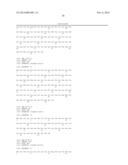 MAIZE GENES FOR CONTROLLING PLANT GROWTH AND ORGAN SIZE AND THEIR USE IN     IMPROVING CROP PLANTS diagram and image