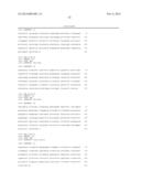 MAIZE GENES FOR CONTROLLING PLANT GROWTH AND ORGAN SIZE AND THEIR USE IN     IMPROVING CROP PLANTS diagram and image