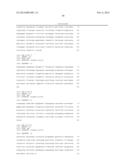 MAIZE GENES FOR CONTROLLING PLANT GROWTH AND ORGAN SIZE AND THEIR USE IN     IMPROVING CROP PLANTS diagram and image