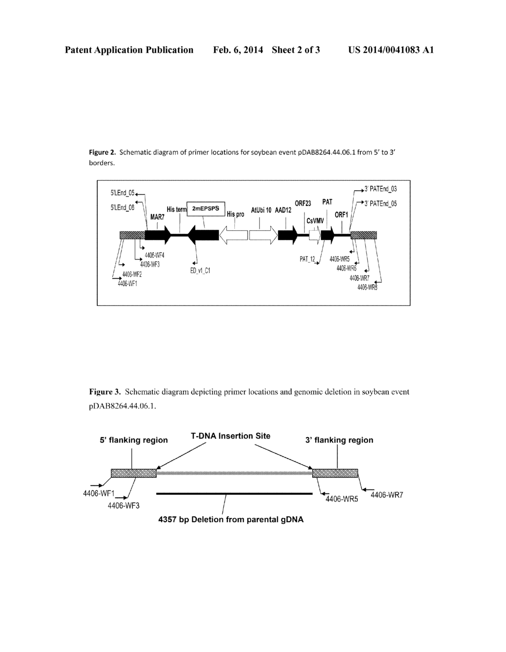 STACKED HERBICIDE TOLERANCE EVENT 8264.44.06.1, RELATED TRANSGENIC SOYBEAN     LINES, AND DETECTION THEREOF - diagram, schematic, and image 03