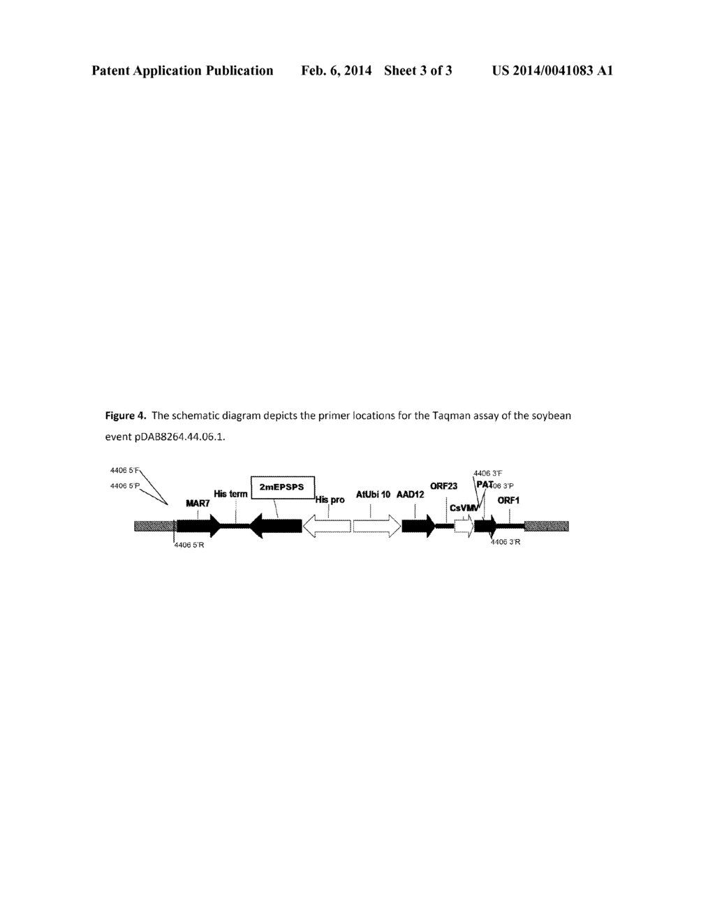 STACKED HERBICIDE TOLERANCE EVENT 8264.44.06.1, RELATED TRANSGENIC SOYBEAN     LINES, AND DETECTION THEREOF - diagram, schematic, and image 04