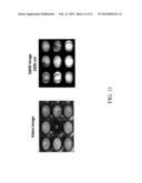 Portable System and Method for Detecting Drug Materials diagram and image