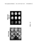 Portable System and Method for Detecting Drug Materials diagram and image