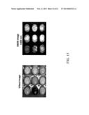 Portable System and Method for Detecting Drug Materials diagram and image