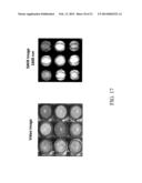 Portable System and Method for Detecting Drug Materials diagram and image