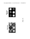 Portable System and Method for Detecting Drug Materials diagram and image