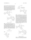 PHOSPHORESCENT EMITTERS AND HOST MATERIALS WITH IMPROVED STABILITY diagram and image