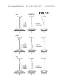 VARIABLE MAGNIFICATION OPTICAL SYSTEM AND IMAGING APPARATUS diagram and image