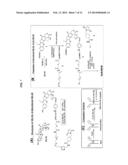 Combining Radioimmunotherapy and Antibody-Drug Conjugates for Improved     Cancer Therapy diagram and image