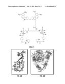 Labeled, Non-Peptidic, Multivalent Integrin Antagonist Compounds; Methods     for Synthesis and Uses Thereof diagram and image