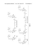 Labeled, Non-Peptidic, Multivalent Integrin Antagonist Compounds; Methods     for Synthesis and Uses Thereof diagram and image