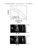 Labeled, Non-Peptidic, Multivalent Integrin Antagonist Compounds; Methods     for Synthesis and Uses Thereof diagram and image