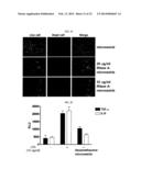 MICROVESICLES DERIVED FROM NUCLEATED, MAMMALIAN CELLS AND USE THEREOF diagram and image