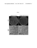 Agent for Preventing Bacterial Wilt Disease, and Method for Preventing     Bacterial Wilt Disease diagram and image