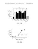 High-Energy Compounds for Use in Alzheimer s and Other Neurodegenerative     Diseases diagram and image