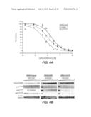 MUTANT SELECTIVITY AND COMBINATIONS OF A PHOSPHOINOSITIDE 3-KINASE     INHIBITOR COMPOUND AND CHEMOTHERAPEUTIC AGENTS FOR THE TREATMENT OF     CANCER diagram and image