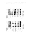 MUTANT SELECTIVITY AND COMBINATIONS OF A PHOSPHOINOSITIDE 3-KINASE     INHIBITOR COMPOUND AND CHEMOTHERAPEUTIC AGENTS FOR THE TREATMENT OF     CANCER diagram and image