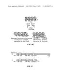 Compositions and Methods for Modulating BRD4 Bioactivity diagram and image