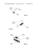 SYNTHETIC LUNG SURFACTANT AND USE THEREOF diagram and image