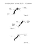 SYNTHETIC LUNG SURFACTANT AND USE THEREOF diagram and image