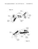 SYNTHETIC LUNG SURFACTANT AND USE THEREOF diagram and image