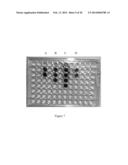 MELANIN NANOSHELLS FOR PROTECTION AGAINST RADIATION AND ELECTRONIC PULSES diagram and image