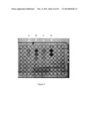 MELANIN NANOSHELLS FOR PROTECTION AGAINST RADIATION AND ELECTRONIC PULSES diagram and image