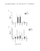 MELANIN NANOSHELLS FOR PROTECTION AGAINST RADIATION AND ELECTRONIC PULSES diagram and image