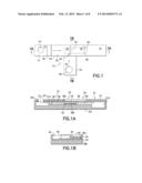 Dual Path Immunoassay Device diagram and image