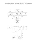 Dual Path Immunoassay Device diagram and image