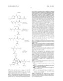 COMPOUNDS HAVING CHROMOPHORE AND PHOTOREACTIVE GROUPS diagram and image