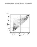 METHOD FOR CONCENTRATING CELLS THAT ARE GENETICALLY ALTERED BY NUCLEASES diagram and image