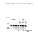 METHOD FOR CONCENTRATING CELLS THAT ARE GENETICALLY ALTERED BY NUCLEASES diagram and image