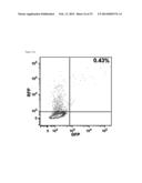 METHOD FOR CONCENTRATING CELLS THAT ARE GENETICALLY ALTERED BY NUCLEASES diagram and image