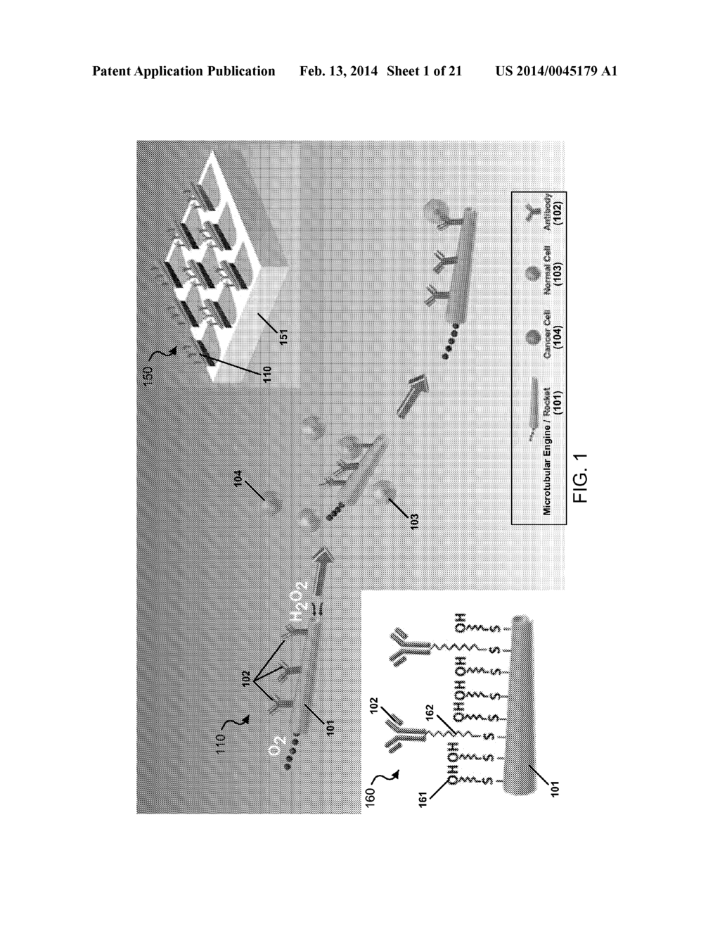 NANO/MICROSCALE VEHICLES FOR CAPTURE AND ISOLATION OF TARGET BIOMOLECULES     AND LIVING ORGANISMS - diagram, schematic, and image 02