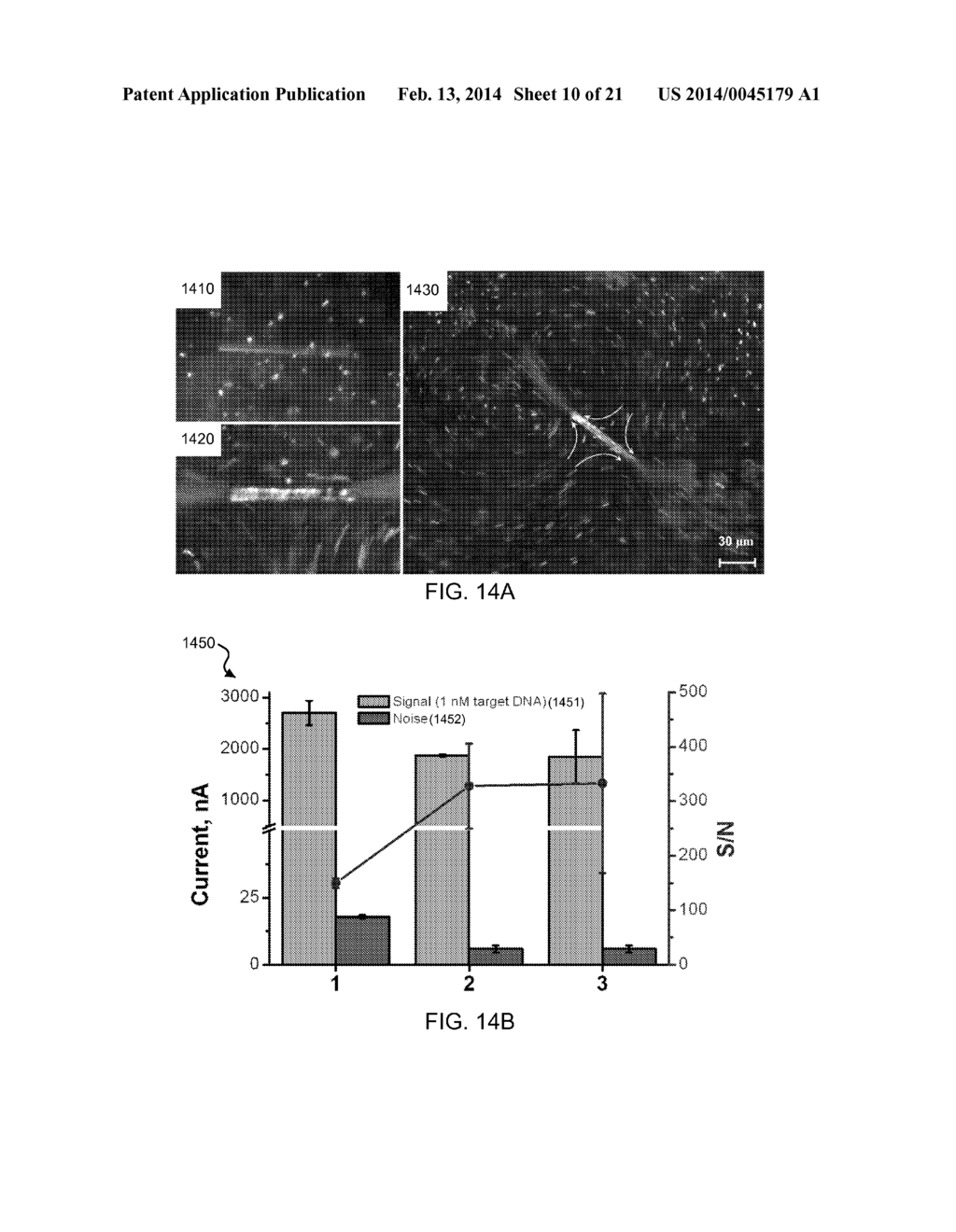 NANO/MICROSCALE VEHICLES FOR CAPTURE AND ISOLATION OF TARGET BIOMOLECULES     AND LIVING ORGANISMS - diagram, schematic, and image 11